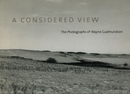 Picture of Considered View, A