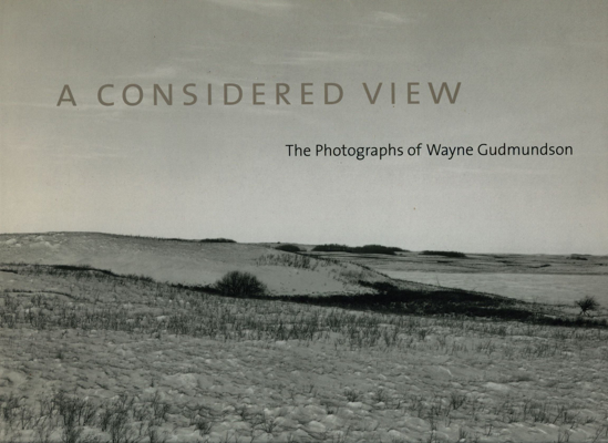 Picture of Considered View, A