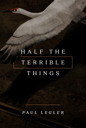Picture of Half the Terrible Things