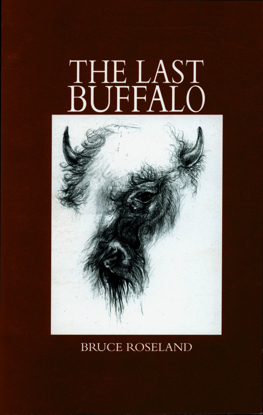 Picture of Last Buffalo, The