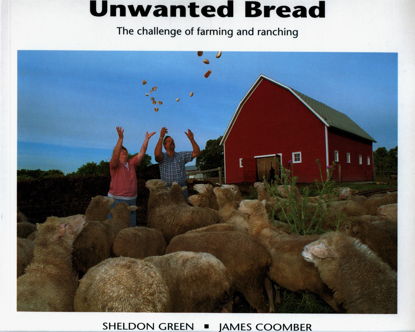 Picture of Unwanted Bread