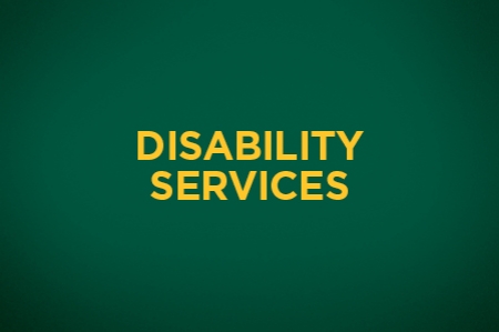 Picture for category Disability Services
