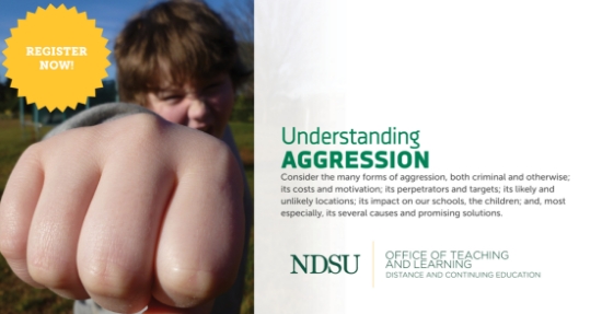 Understanding Aggression