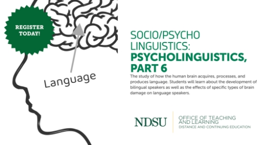 Socio/Psycho Linguistics: Psycholinguistics, Part 6