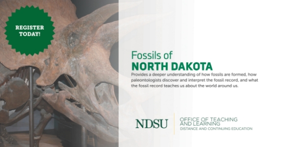 Fossils of North Dakota 2024