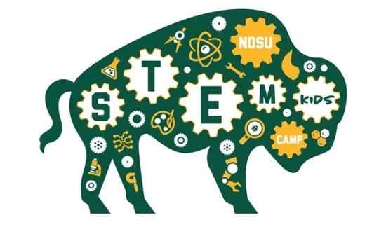 Picture of STEM Kids Camp Sponsor