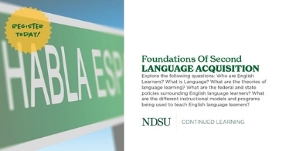 Foundations Of Second Language Acquisition