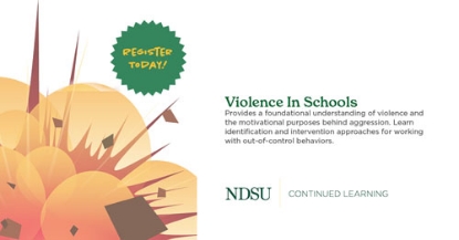 Violence In School