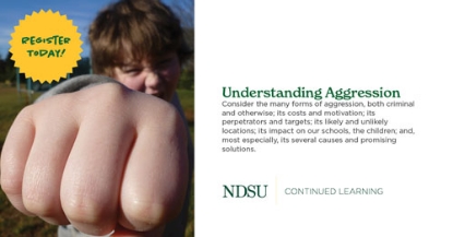 Understanding Aggression