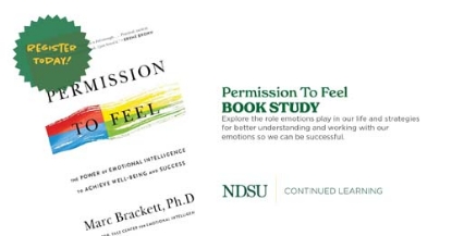 Permission To Feel Book Study
