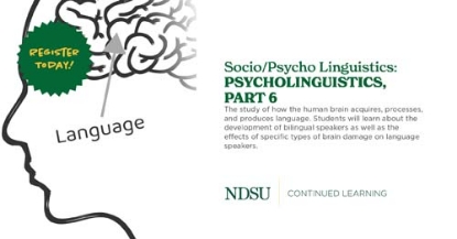 Socio/Psycho Linguistics: Psycholinguistics, Part 6