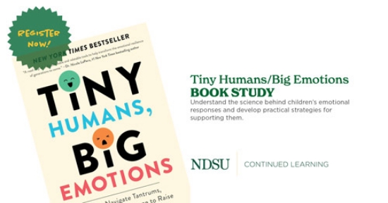 Tiny Humans/Big Emotions Book Study