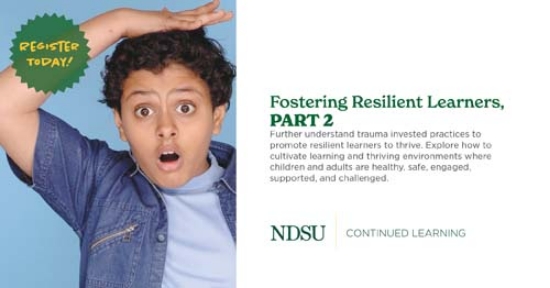 Fostering Resilient Learnings, Part 2