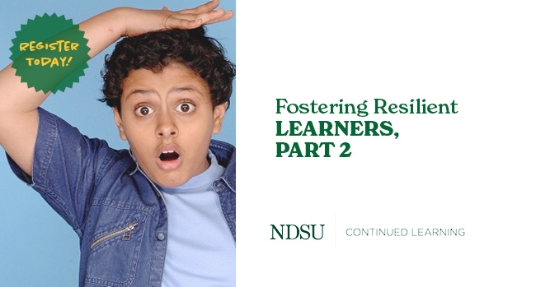 Fostering Resilient Learnings, Part 2