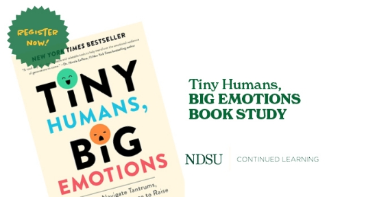 Tiny Humans/Big Emotions Book Study