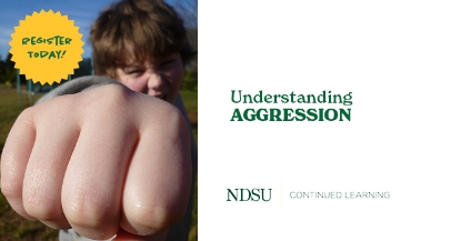 Understanding Aggression