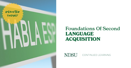 Foundations Of Second Language Acquisition