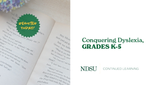 Conquering Dyslexia, Grades K-5