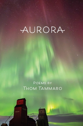 Picture of Aurora