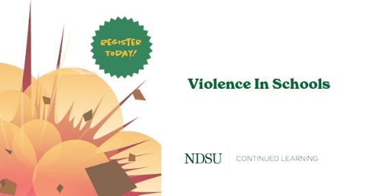 Violence In School
